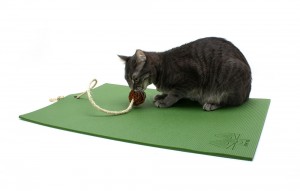 yoga cat cow