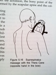 Trigger Point Therapy Workbook Figure 5.16