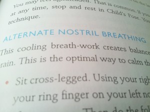 yogalosophy alternate nostril breathing