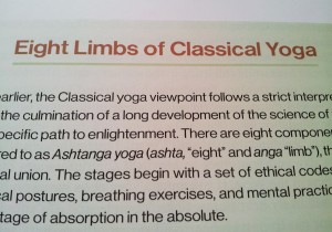 Hatha-Yoga-Illustrated-8-limbs