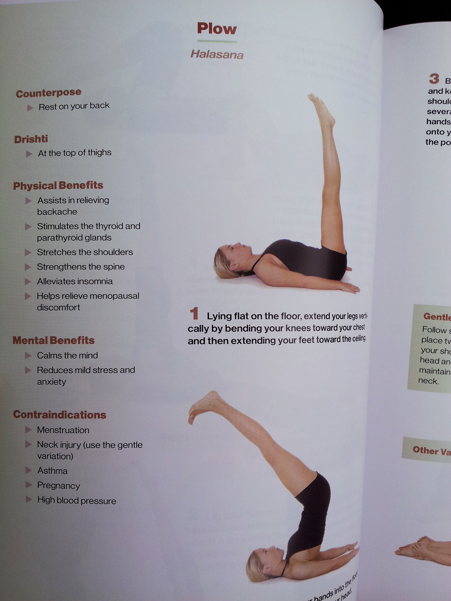 Beginner's Guide to Yoga 