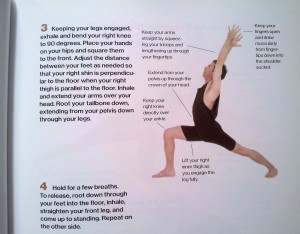 Hatha-Yoga-Illustrated-sun-salutation