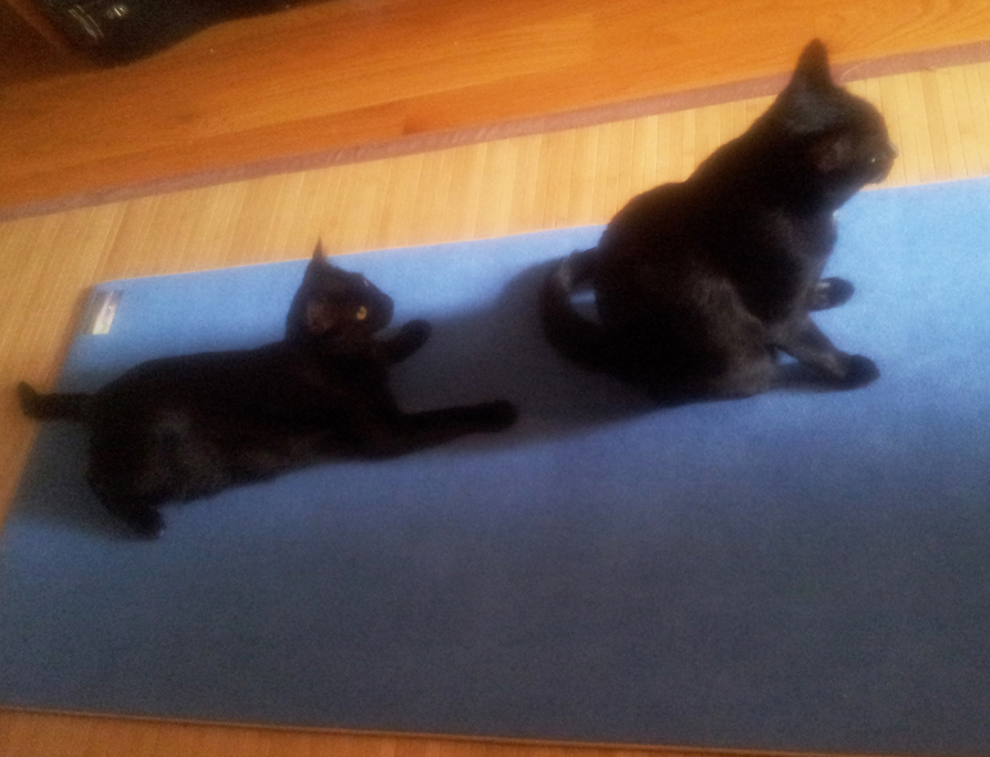 used yoga mat