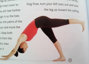 Yoga-Bible-downward-leg-lift