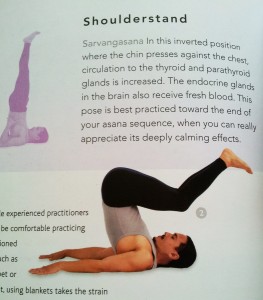 Yoga-Bible-shoulderstand