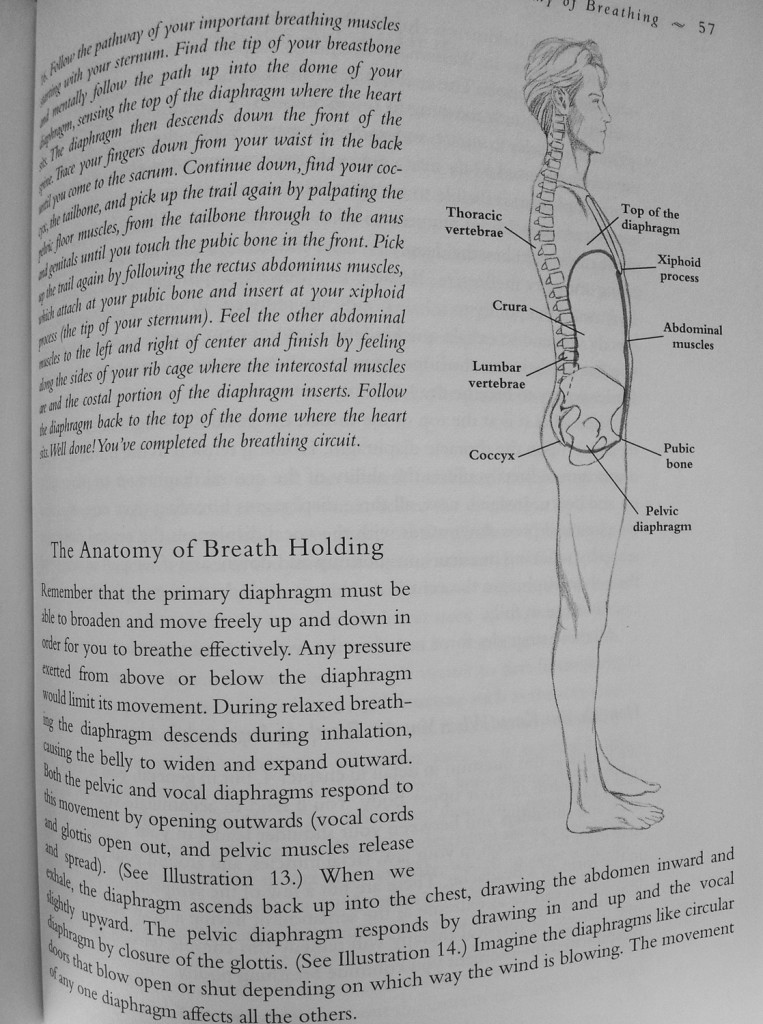 Breathing-book-anatomy of breath holding