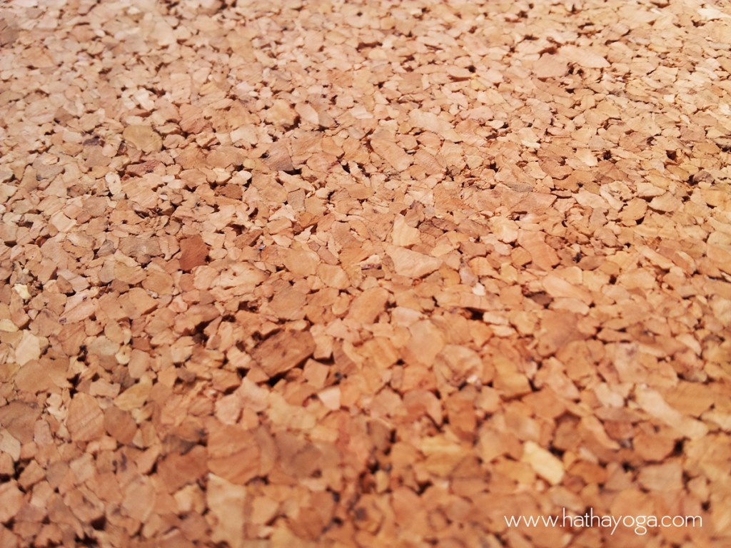 hatha-yoga-yoloha-cork-mat-cork-close-up