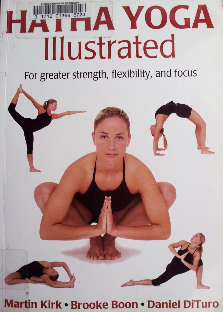 illustrated hatha yoga book satchidinanda